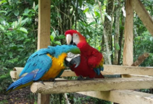 Reserva Natural Paway Mariposario景点图片