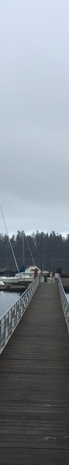 Rebecca Spit Marine Provincial Park-奎德拉岛