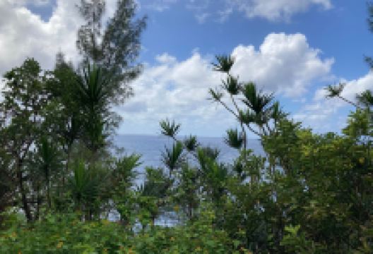 Quai de Sel - Ancien Port景点图片