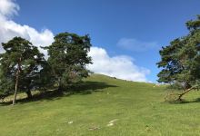 Forsakar Nature Reserve景点图片