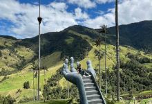 Cocora Valley景点图片