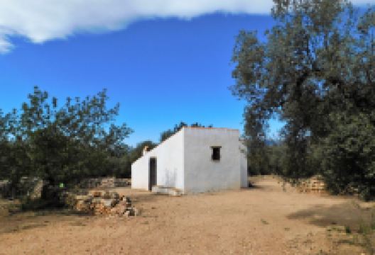 La Farga De Arion景点图片