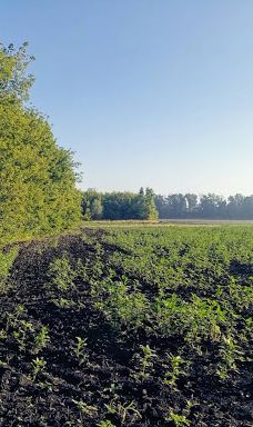 Gosudarstvennyy Prirodnyy Zakaznik Kamennaya Step'-塔洛瓦亚区