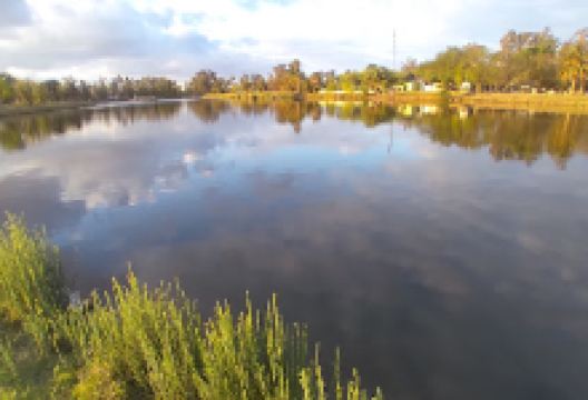 Municipal Gral. José De San Martín Park景点图片