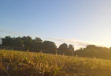 Campo de Futebol do Santa Cruz景点图片