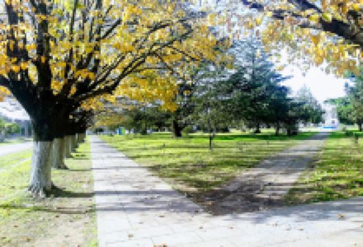 Plaza San Martín景点图片