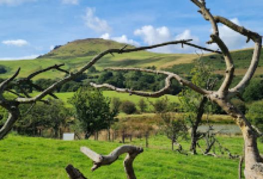 Ley Hill Farm景点图片