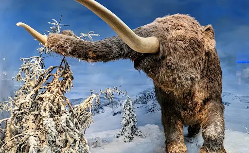 Mashantucket Pequot Museum & Research Center