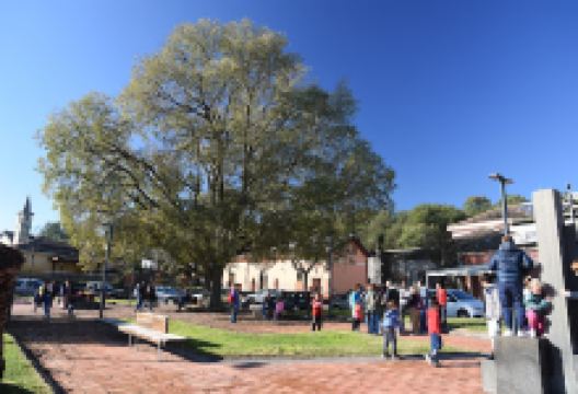 Ecomuseo del Castagno dell'Etna景点图片