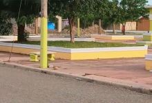 Proyecto Ama Park景点图片
