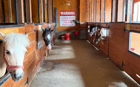 The Li'l Country Store & Miniature Horse Farm
