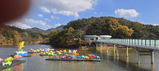 琴湖地