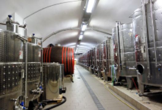 Dubicz Winery购物图片