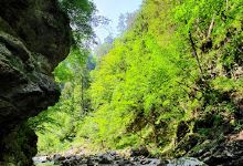 Sotočje Iške in Zale景点图片