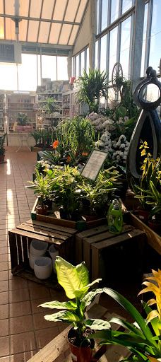 Gamm Vert-拉比谢尔