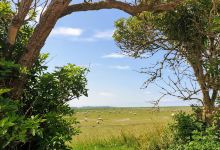 Rivière des Îles景点图片