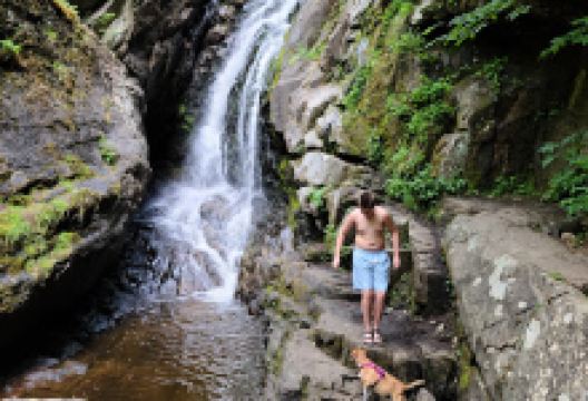 Campbells Falls Trailhead景点图片