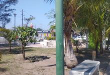 Jiménez Macías Park景点图片