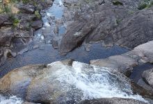 Basket Swamp Creek景点图片