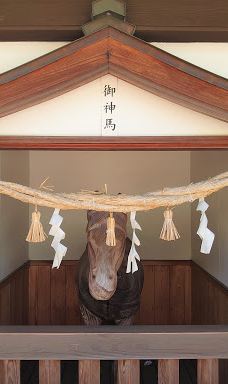 彦岛八幡宫-下关市