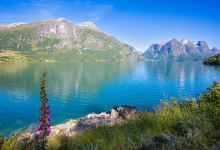 Jostedalsbreen National Park景点图片