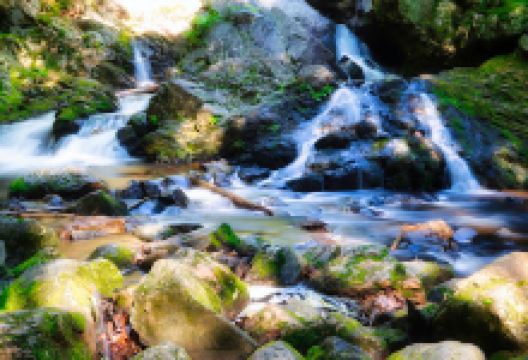Bears Den Trail Head景点图片