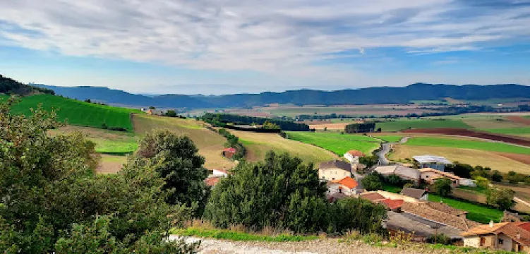Encina de las Tres Patas