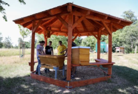 Bienenlehrpfad Egelsbach景点图片