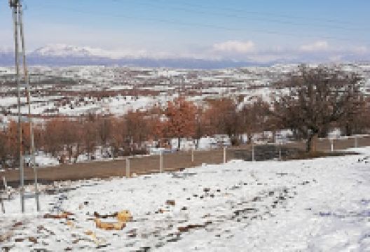 Khirbet Amo Mosque景点图片