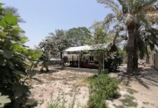 Mosque Dayaa景点图片