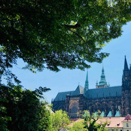 荷兰+比利时+捷克15日13晚私家团