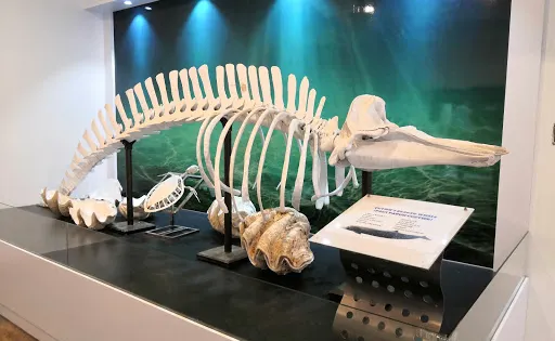 亞庇水族館暨海事博物館