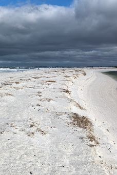 Tigertail Beach-马可岛