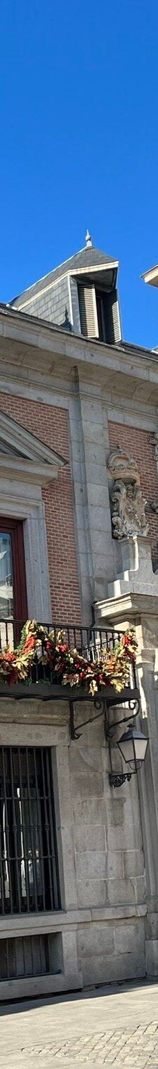 马德里市政广场-马德里