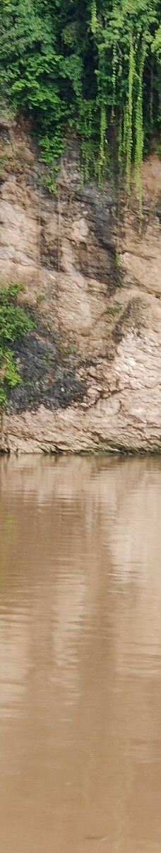 京那巴当岸河-基纳巴唐岸