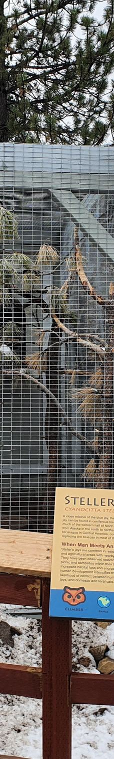 大熊湖动物园-大熊湖