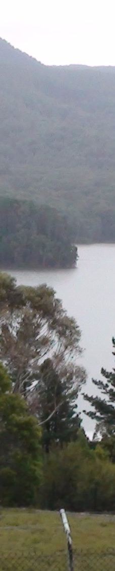 Maroondah Reservoir Park-希尔斯维尔