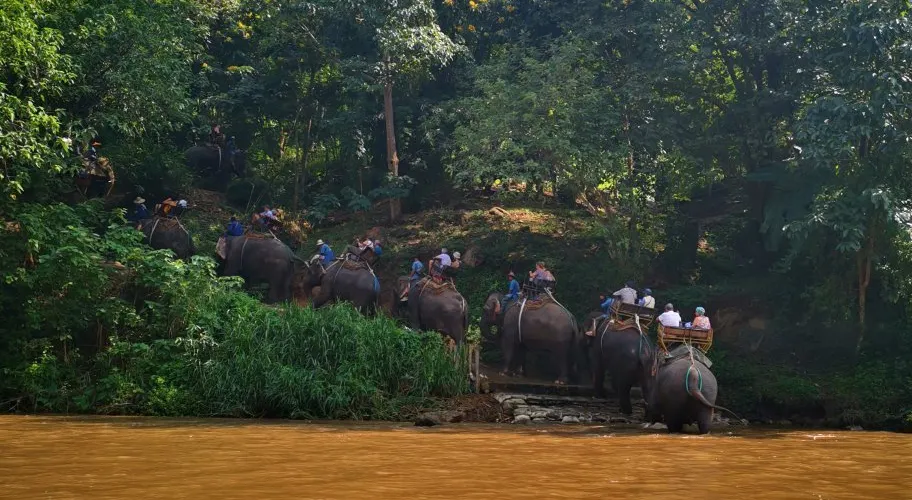 永安旅遊