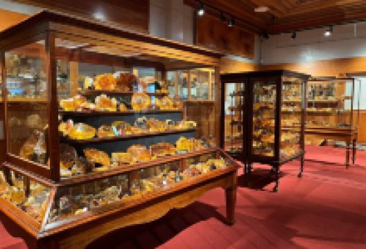 The Kauri Museum景点图片