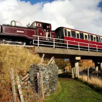 波斯马多格图片