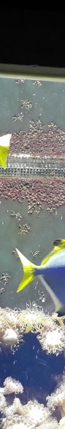 基尔水族馆-基尔