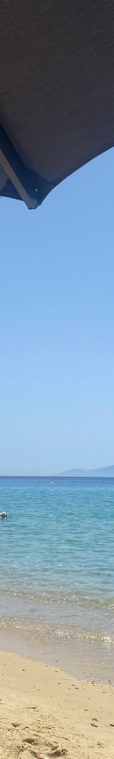 Elia海滩-米科诺斯