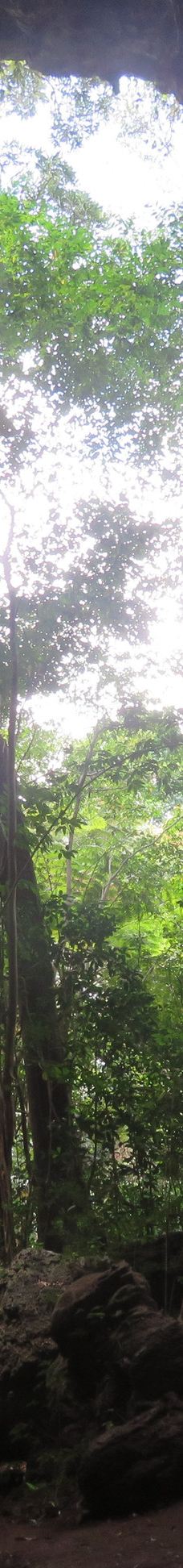 Grotte de Hortense-松树岛