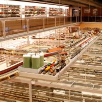 门德里西奥图片