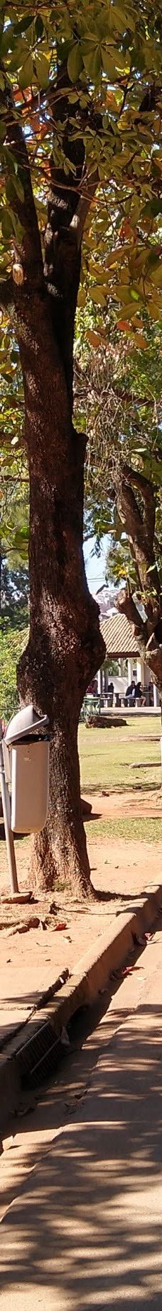 Parque Zoologico Municipal Quinzinho De Barros-索罗加巴