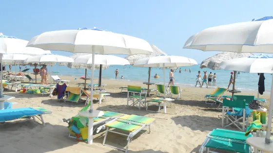 Lido Marlin