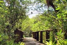 Parque Florestal Rio da Onça景点图片