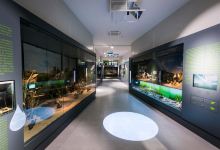Metkovic Natural History Museum景点图片