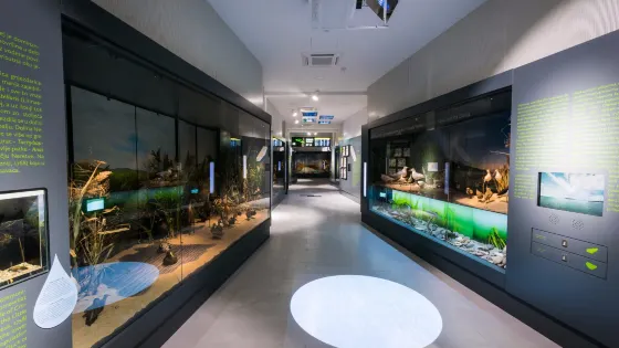 Metkovic Natural History Museum