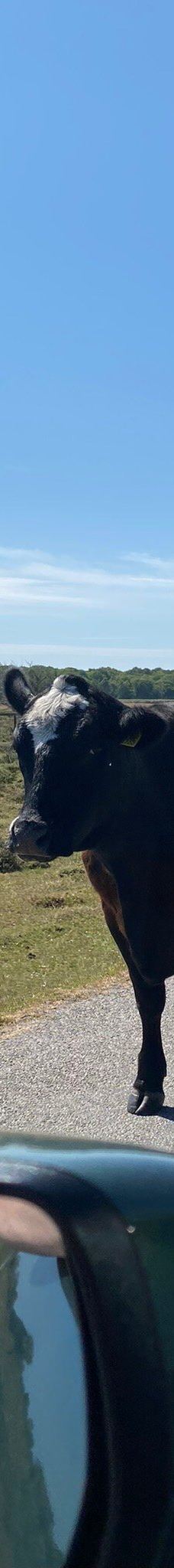 Långe Jan-默尔比隆阿